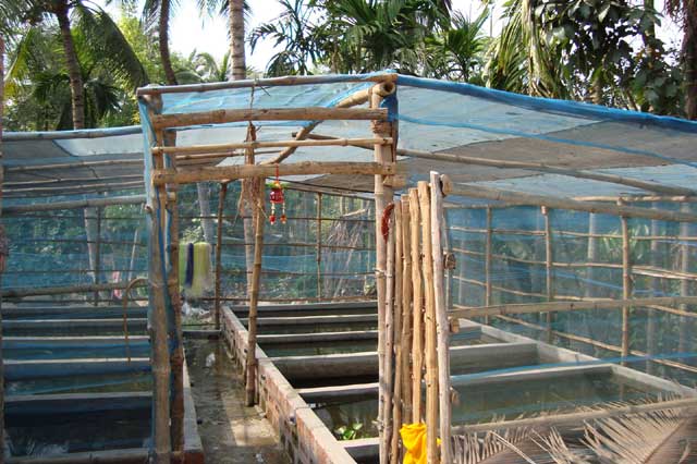 West Bengal Fishermen Cooperative Federation Ltd - BENFISH